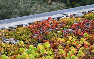 the cost of East Renfrewshire green roof installation
