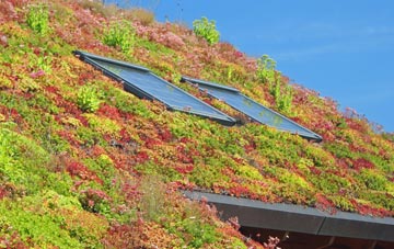 East Renfrewshire living roof systems